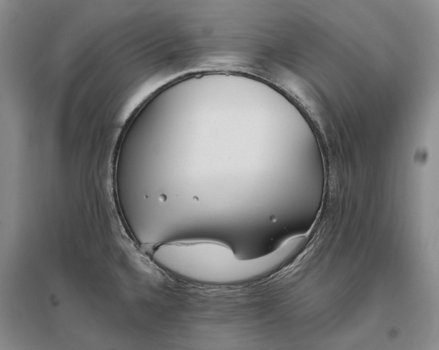 X0000097291336200802291741