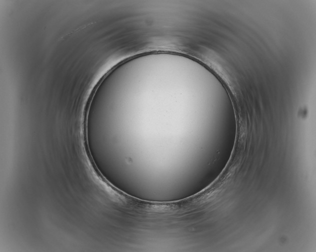 X0000097291339200802291741