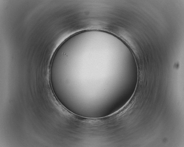 X0000097291340200802291741