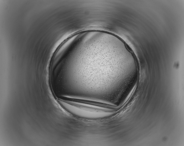 X0000097291341200802291741