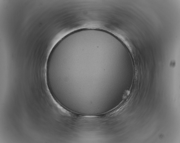 X0000097291343200802291741