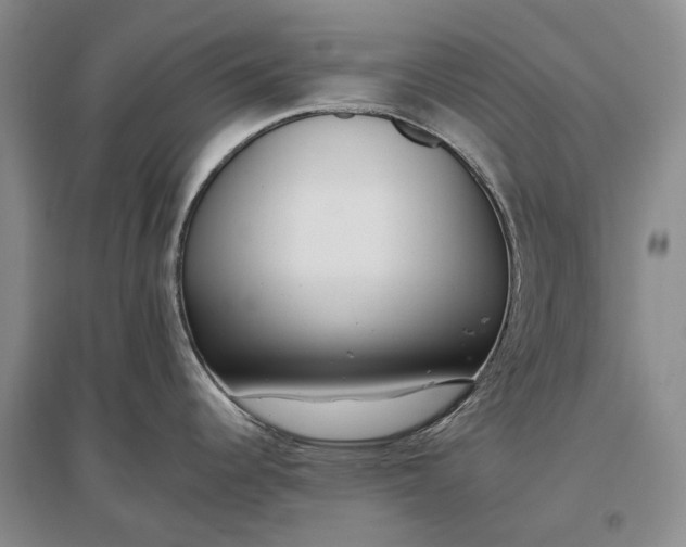 X0000097291344200802291741
