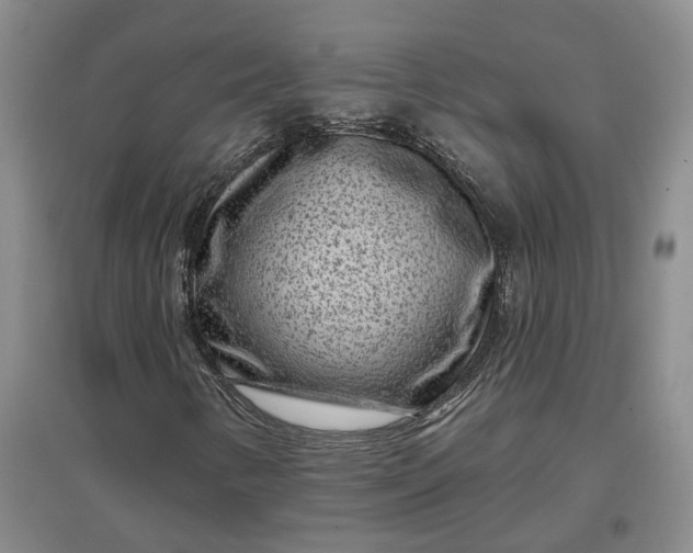 X0000097291346200802291740