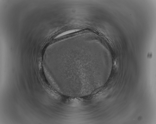 X0000097291348200802291740