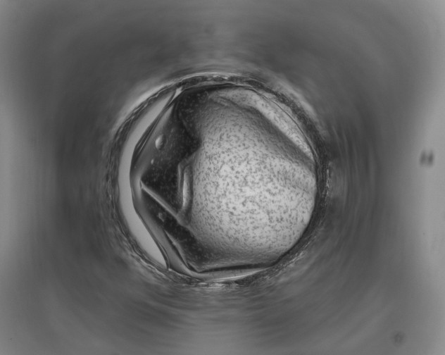 X0000097291352200802291740