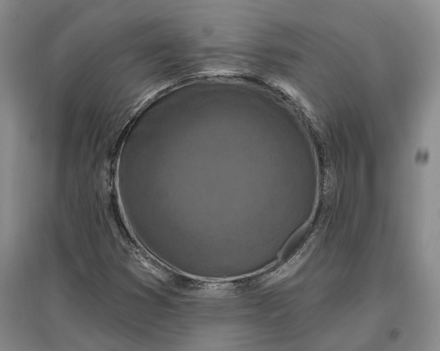 X0000097291353200802291740