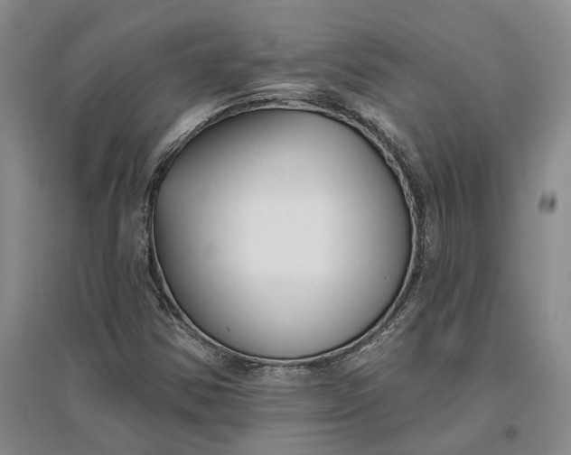 X0000097291354200802291740