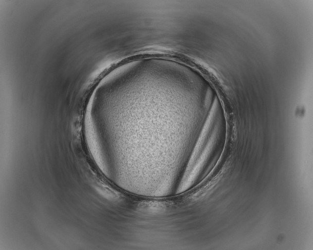 X0000097291355200802291740