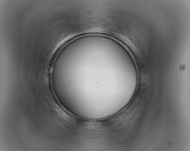 X0000097291356200802291740