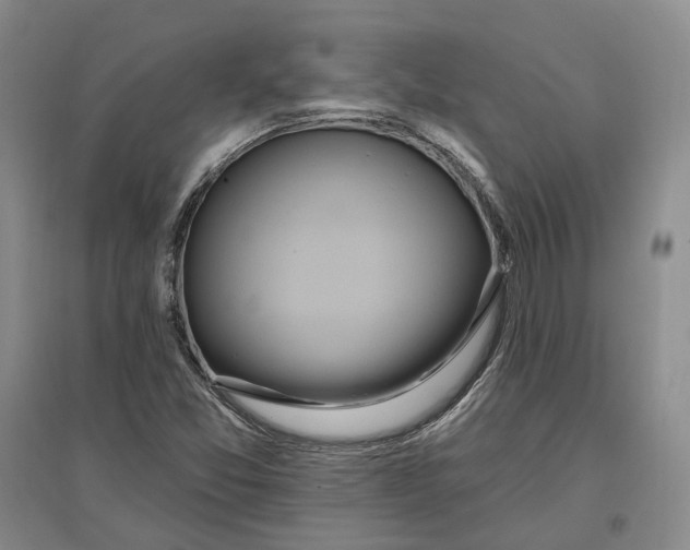 X0000097291357200802291740