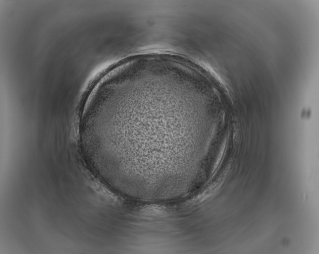 X0000097291358200802291740