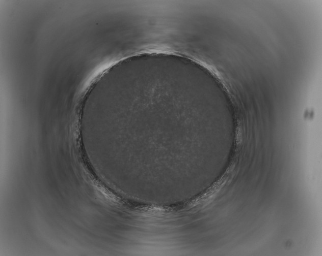X0000097291359200802291740