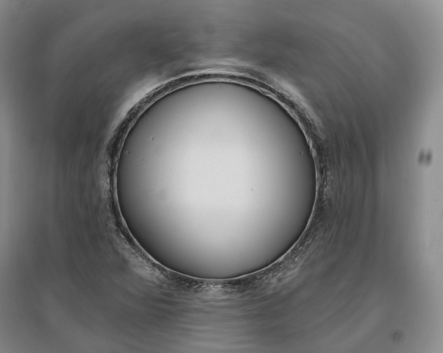 X0000097291360200802291740