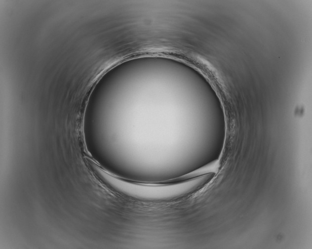 X0000097291361200802291740