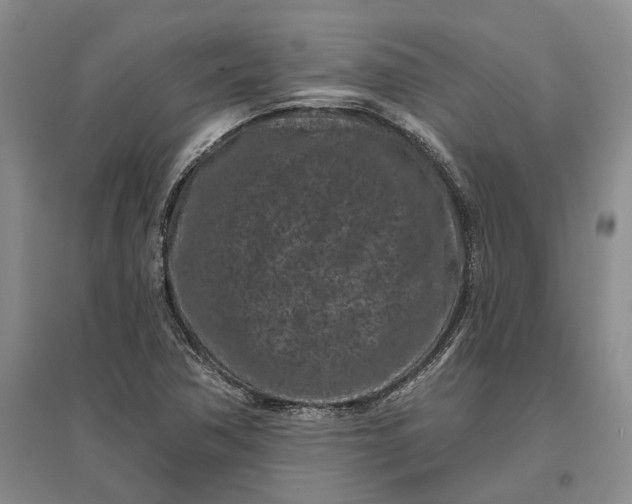 X0000097291362200802291740