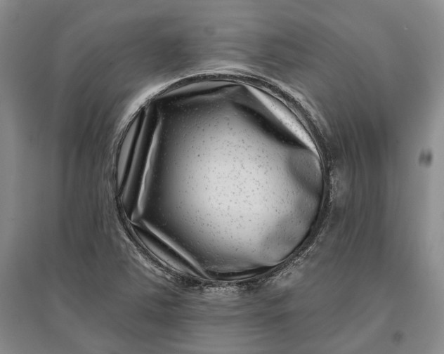 X0000097291363200802291740