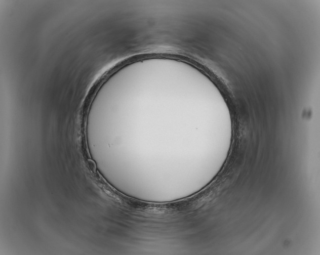X0000097291364200802291740