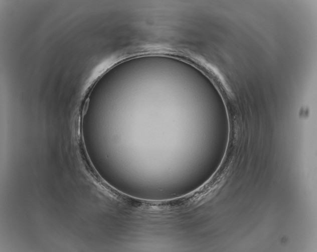 X0000097291365200802291740