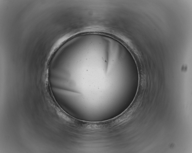X0000097291366200802291740