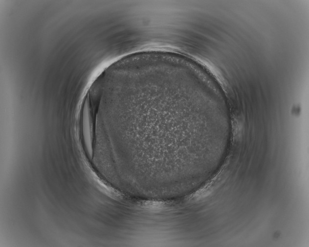 X0000097291371200802291740