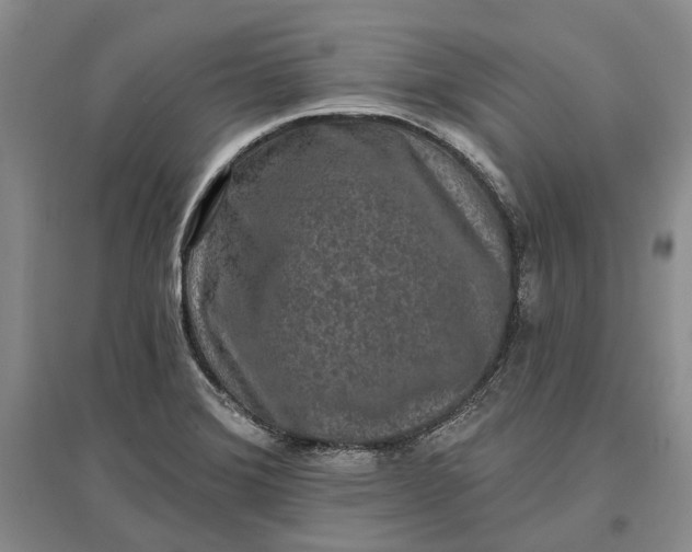 X0000097291372200802291740