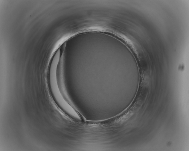 X0000097291373200802291740