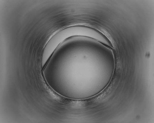 X0000097291377200802291740