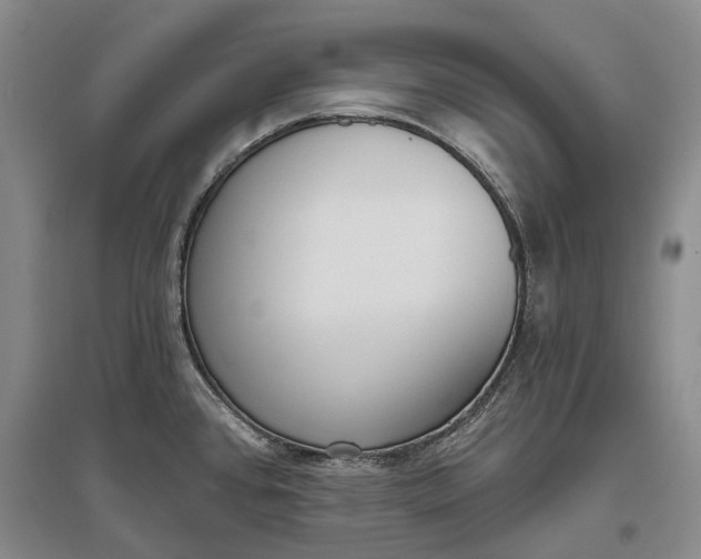 X0000097291384200802291740