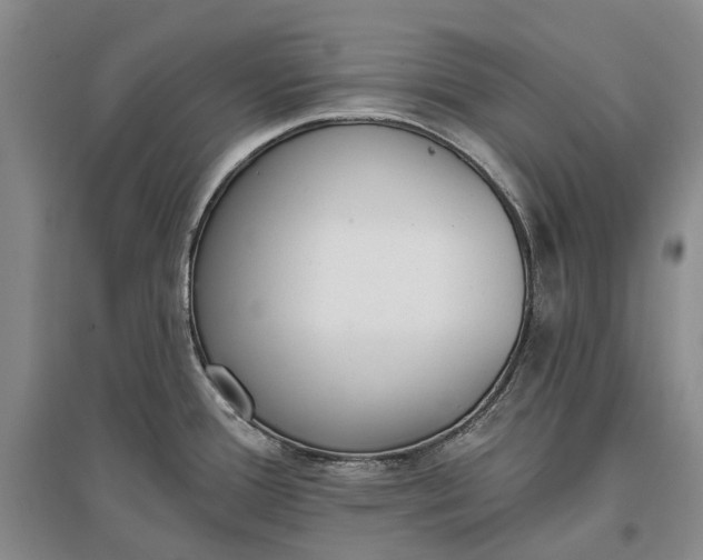 X0000097291388200802291740