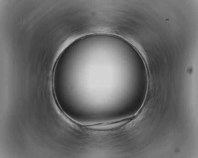 X0000097291389200802291740