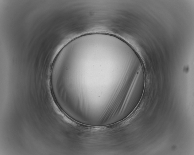 X0000097291390200802291740