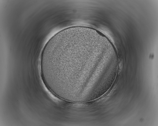 X0000097291391200802291740
