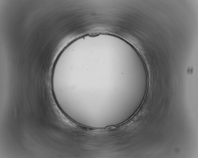 X0000097291392200802291740