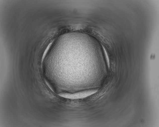 X0000097291393200802291739