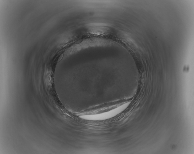 X0000097291394200802291739