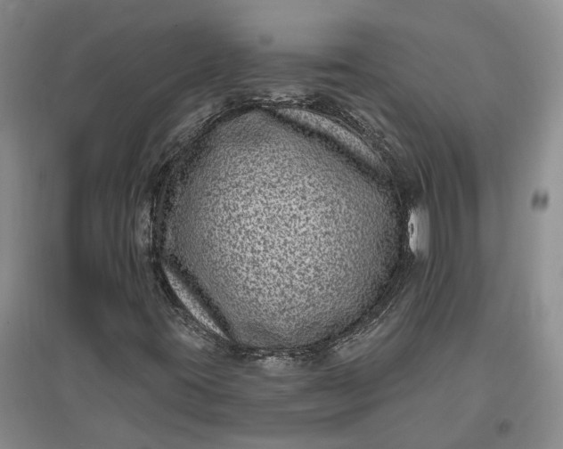 X0000097291395200802291739