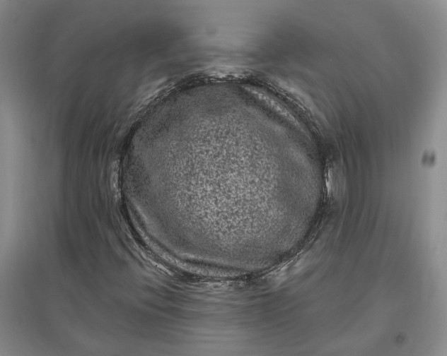 X0000097291396200802291739