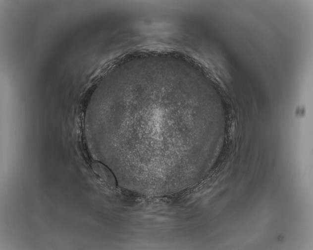 X0000097291397200802291739