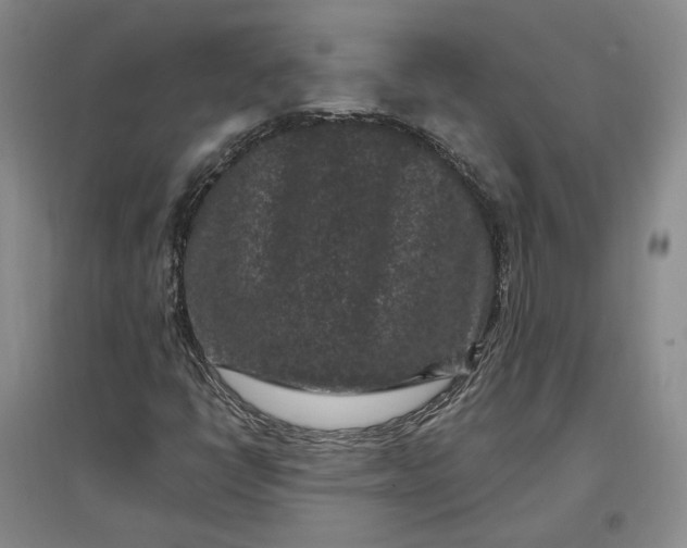 X0000097291398200802291739