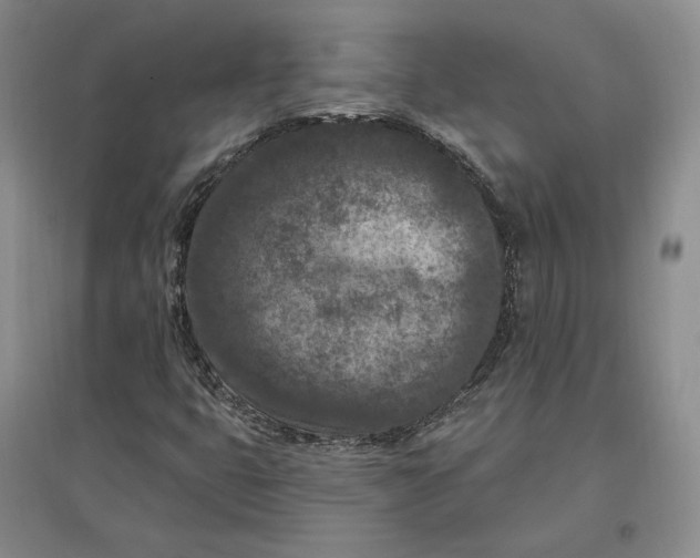 X0000097291399200802291739