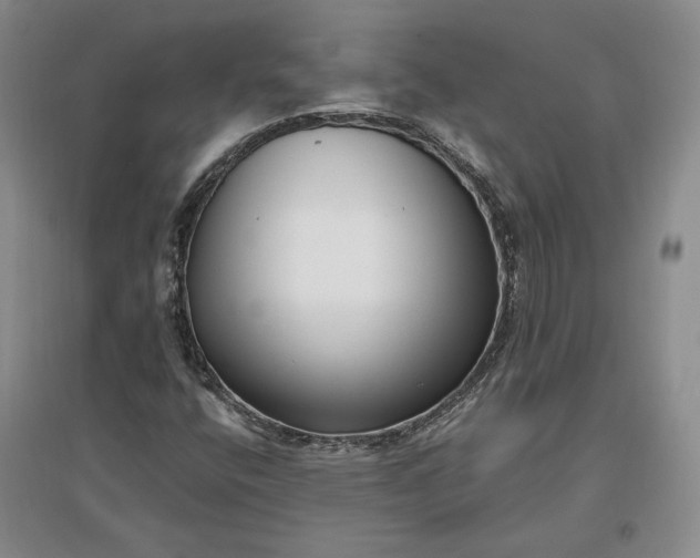 X0000097291400200802291739