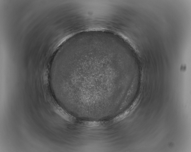 X0000097291401200802291739