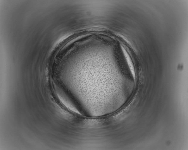 X0000097291402200802291739