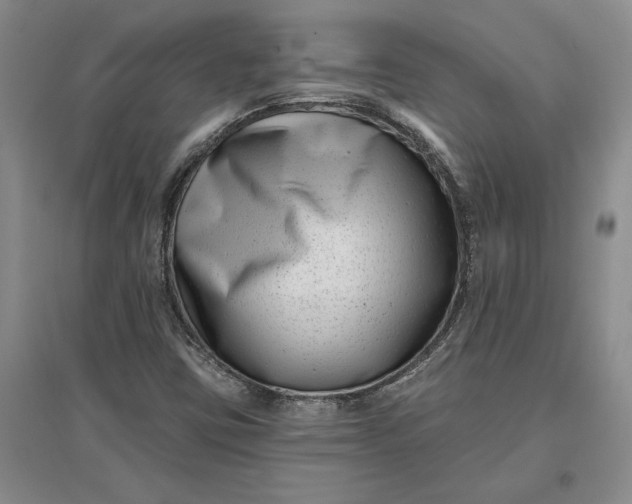 X0000097291403200802291739