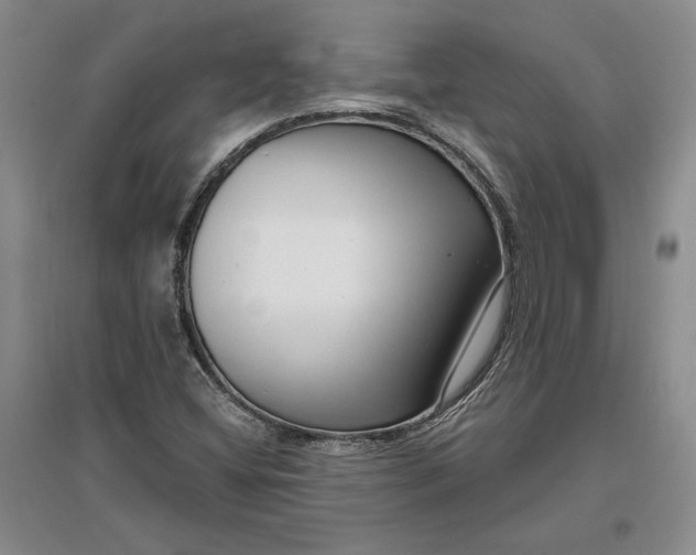 X0000097291404200802291739