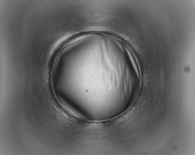 X0000097291406200802291739