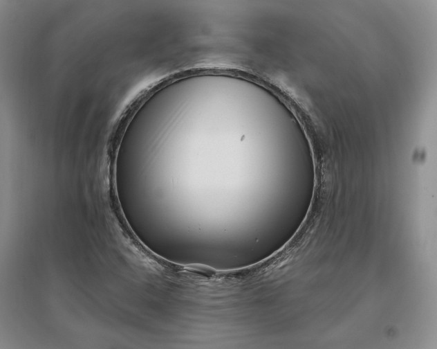 X0000097291408200802291739
