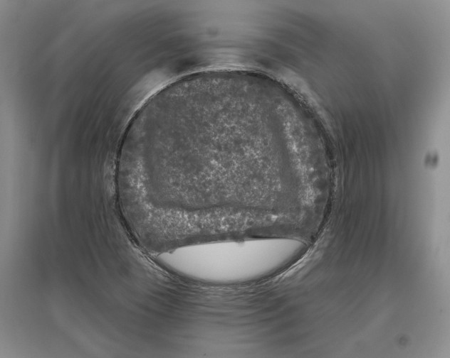 X0000097291409200802291739