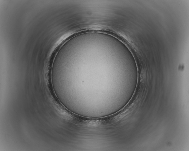 X0000097291410200802291739