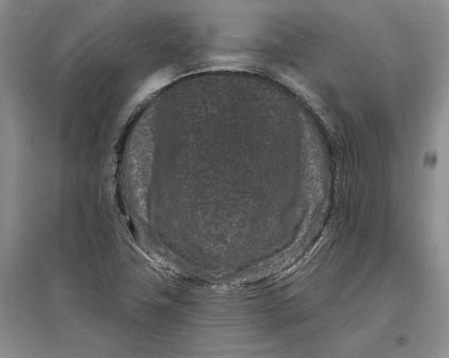 X0000097291411200802291739